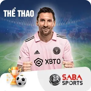 home soccer